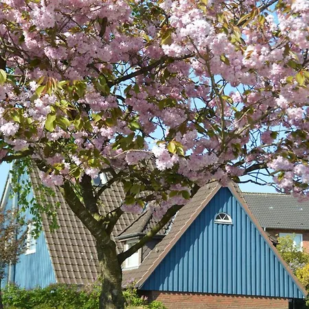 Casa Azul Lejlighed Flensborg